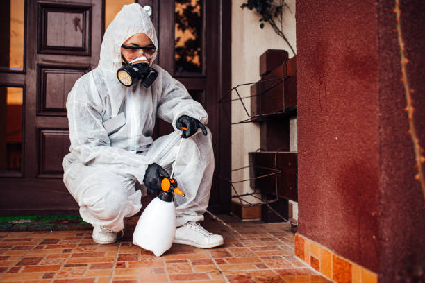 Reliable Ant Control contractor in Bryan, TX by Show Me Pest Control